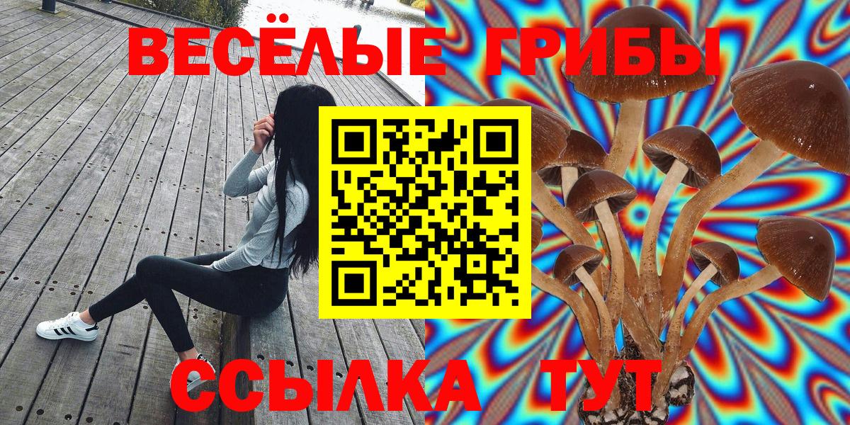Галлюциногенные грибы мухоморы  Вход с VPN  Кисловодск 